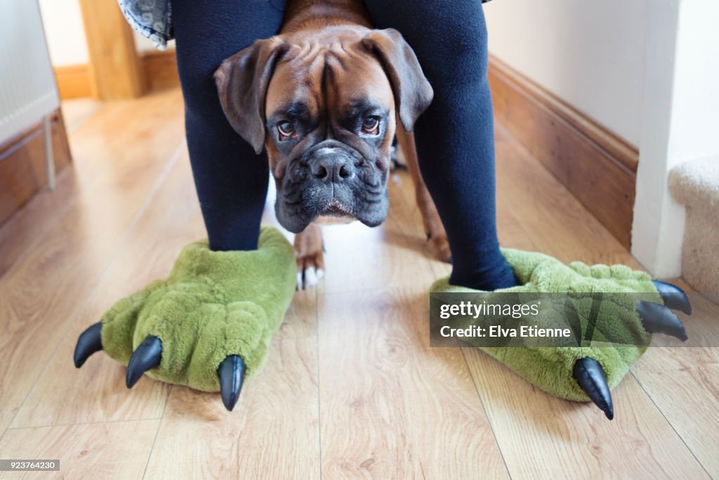 Child wearing green dinosaur feet slippers, with pet dog peering through legs