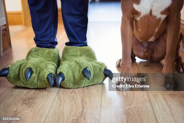teenager wearing green dinosaur feet slippers, standing next to pet dog - kids feet in home stock-fotos und bilder