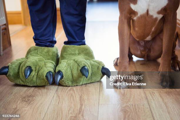 teenager wearing green dinosaur feet slippers, standing next to pet dog - chinelos imagens e fotografias de stock