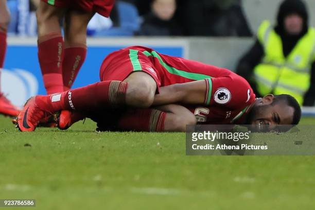 Jordan Ayew of Swansea City injured on the ground during the Premier League match between Brighton and Hove Albion and Swansea City and at the Amex...