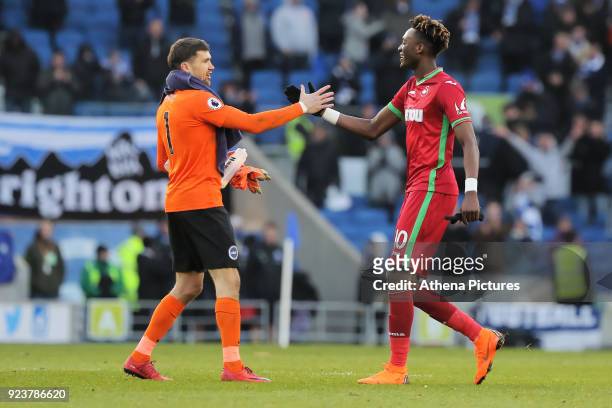 Mathew Ryan of Brighton and Tammy Abraham of Swansea City greet each other during the Premier League match between Brighton and Hove Albion and...