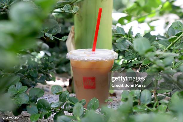 Illy Cold Brew on display at illy At Buddhas And Bellinis #livehapilly At SOBEWFF at Loews Miami Beach on February 24, 2018 in Miami Beach, Florida.