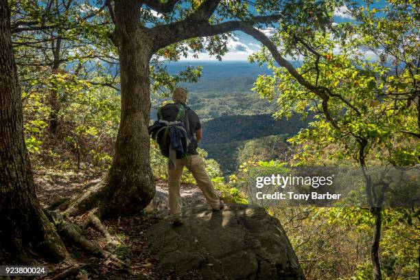 appalachian trail vista - appalachia stock-fotos und bilder