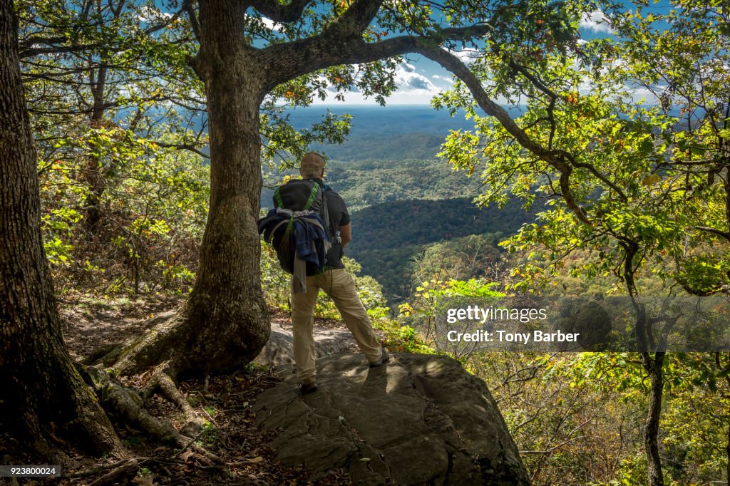 Appalachian Trail Vista