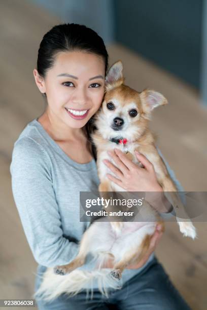 happy asian woman at home with her puppy - chihuahua de pêlo comprido imagens e fotografias de stock