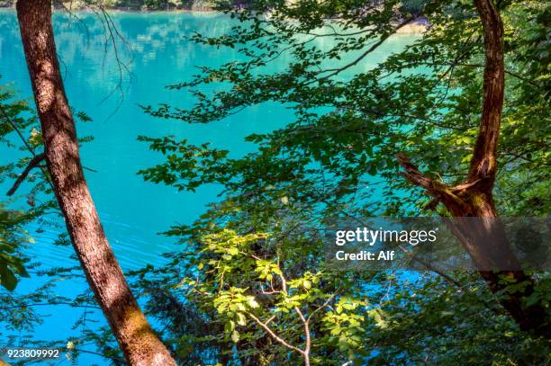 plitvice lakes national park in croatia - kommunen lika senj bildbanksfoton och bilder