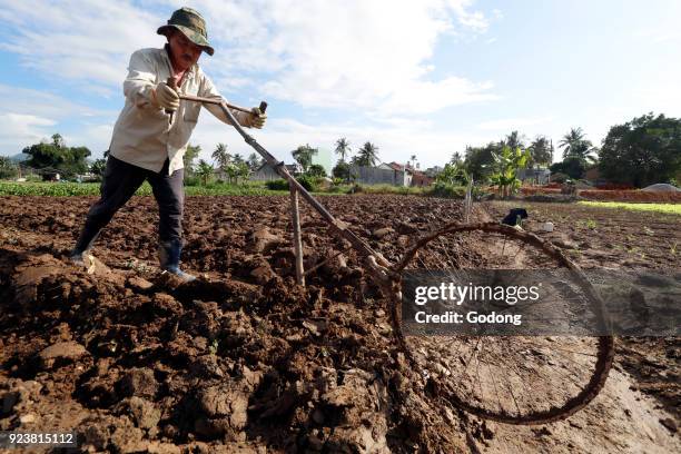 Agricultural field. Agriculture field. Farmer at work. Ploughing. Kon Tum. Vietnam.