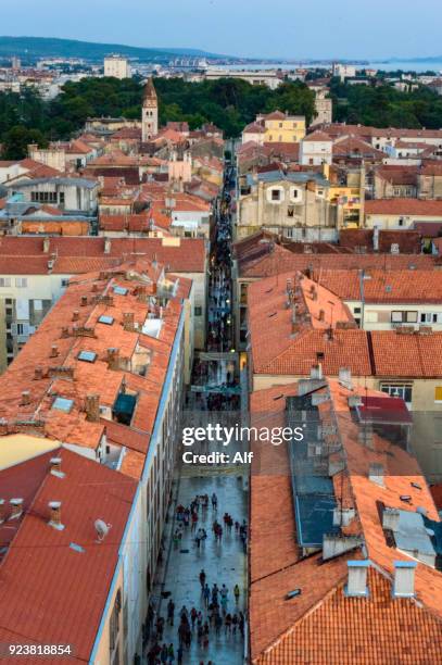 kalelarga street in zadar, croatia - darmschleimhaut stock-fotos und bilder