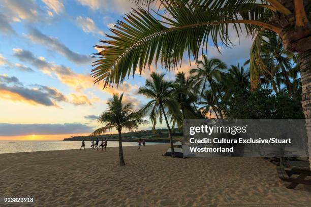 hulopoe beach park, lanai island, hawaii, usa - lanai stock pictures, royalty-free photos & images