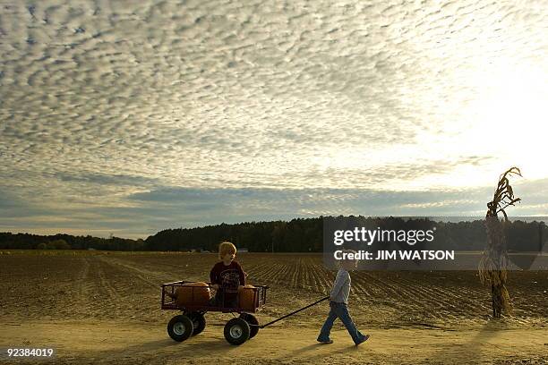 Young girl pulls her brother and some pumpkins in a wagon as they visit a pumpkin patch on October 22, 2009 in Easton, MD. The annual holiday...