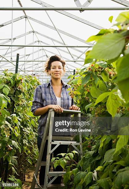 young woman in a greenhouse at an organic farm - senneville stock pictures, royalty-free photos & images