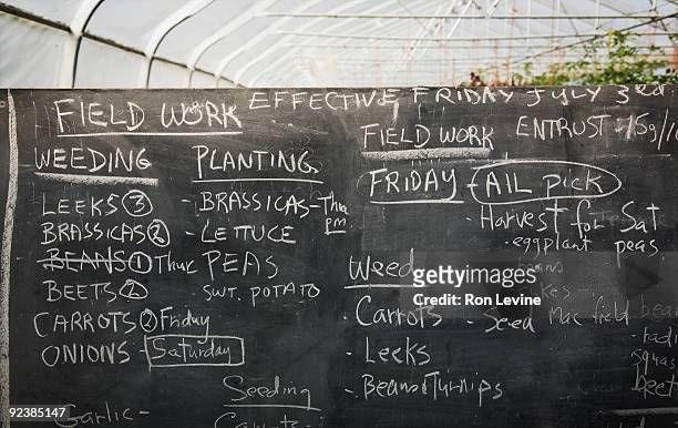 chore blackboard in organic farm greenhouse - blackboard qc stock pictures, royalty-free photos & images