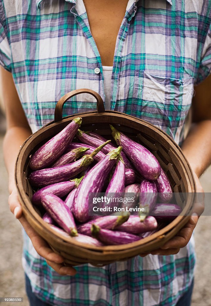 Woman holding basket of eggplants at Organic farm