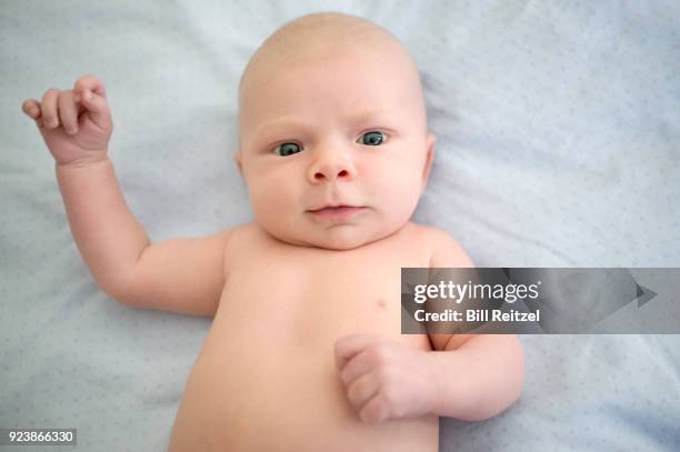 baby boy lying down on bed - corte madera stock pictures, royalty-free photos & images