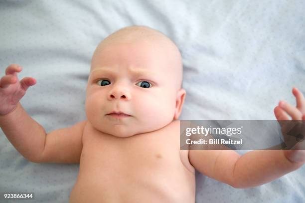 baby boy lying down on bed - corte madera stock pictures, royalty-free photos & images