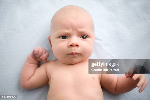 baby boy lying down on bed - corte madera stock pictures, royalty-free photos & images