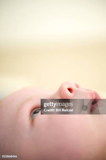 baby boy lying down on bed - corte madera stock pictures, royalty-free photos & images