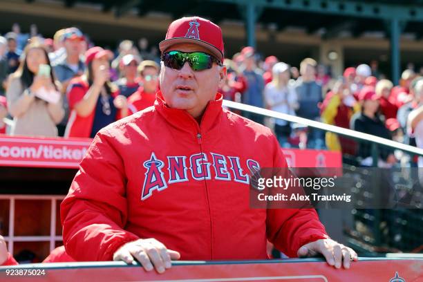 Manager Mike Scioscia of the Los Angeles Angels looks on from the dugout before the start of a game against the Milwaukee Brewers on Saturday,...