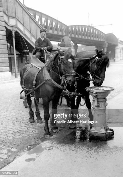Drinking trough for horses. Paris, around 1900.