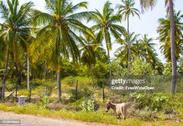 Tourists and locals visiting sightseeing point and beaches the northern part , former Tamil tigers war area, on Nagadeepa Island on February 14, 2014...