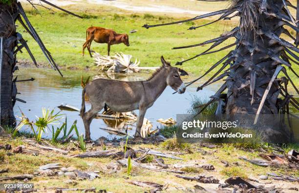 Tourists and locals visiting sightseeing point and beaches the northern part , former Tamil tigers war area, on Nagadeepa Island on February 14, 2014...