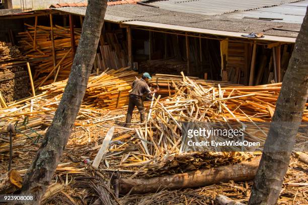 Wood industry, carpenter, joinery, worker on February 22, 2014 in Pinnawela, Sri Lanka.
