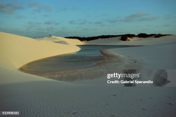 lençois maranhenses national park. - barreirinhas stock-fotos und bilder