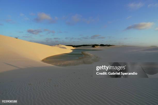 lençois maranhenses national park. - barreirinhas stock pictures, royalty-free photos & images