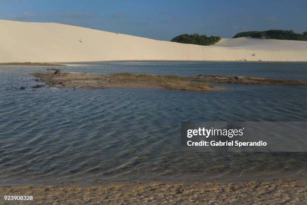 lençois maranhenses national park. - barreirinhas stock-fotos und bilder