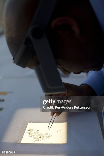 Worker sorts raw diamonds as they are displayed on tables at the new Diamond Trading Company , the world's largest and most advanced diamond-sorting...