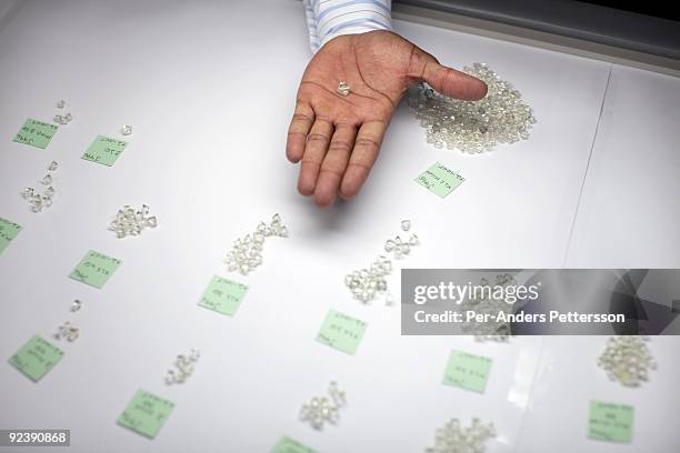 Workers sorts raw diamonds as they are displayed on long tables at the new Diamond Trading Company , the world's largest and most advanced...