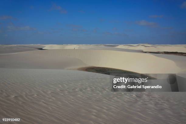 lençois maranhenses national park. - barreirinhas stock-fotos und bilder