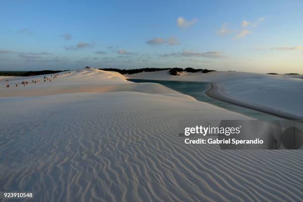 lençois maranhenses national park. - barreirinhas stock pictures, royalty-free photos & images