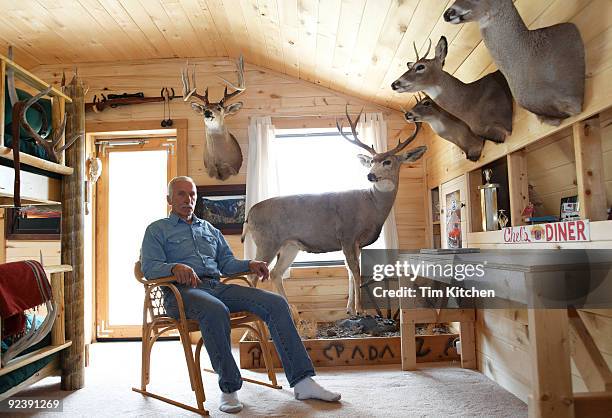 man sitting in sunlit cabin with taxidermy - preserved stock pictures, royalty-free photos & images