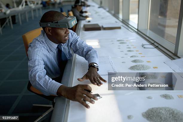 Diamond Rthe Body Diamond The Body Photos and Premium High Res Pictures - Getty Images