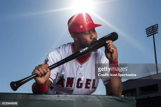 Outfielder Chris Young poses for a portrait during the Los Angeles Angels Photo Day on Feb. 22, 2018 at Tempe Diablo Stadium in Tempe, Ariz.