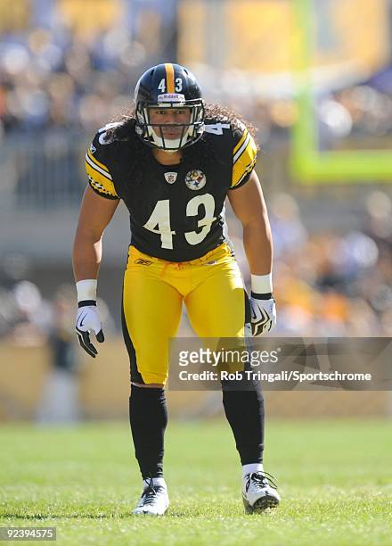 Troy Polamalu of the Pittsburgh Steelers defends against the Minnesota Vikings at Heinz Field on October 25, 2009 in Pittsburgh, Pennsylvania. The...