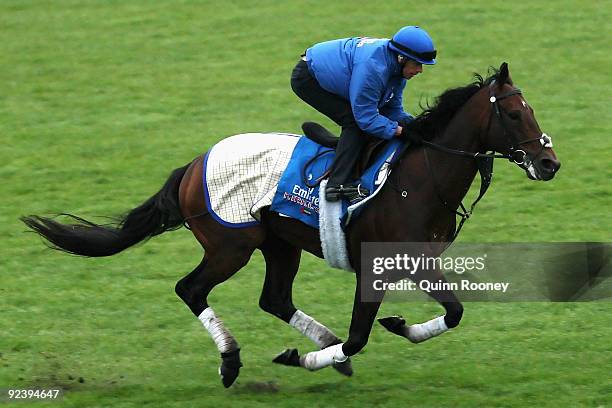 Kirklees of the Godolphin stables runs down the straight during trackwork at Sandown Racecourse on October 28, 2009 in Melbourne, Australia.