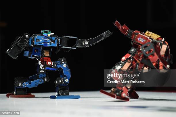 Robots fight during the 32nd ROBO-ONE tournament on February 25, 2018 in Tokyo, Japan. According to the organizer, the ROBO-ONE, held by the Biped...
