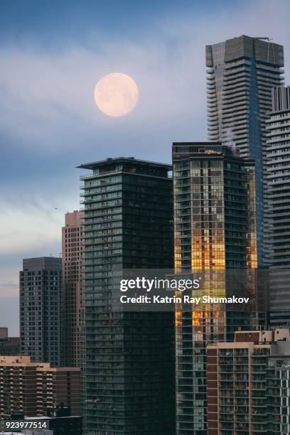 super blue blood moon and sunrise city reflection - super blue blood moon 個照片及圖片檔