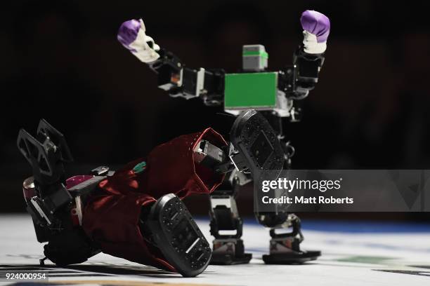 Robots fight during the 32nd ROBO-ONE tournament on February 25, 2018 in Tokyo, Japan. According to the organizer, the ROBO-ONE, held by the Biped...