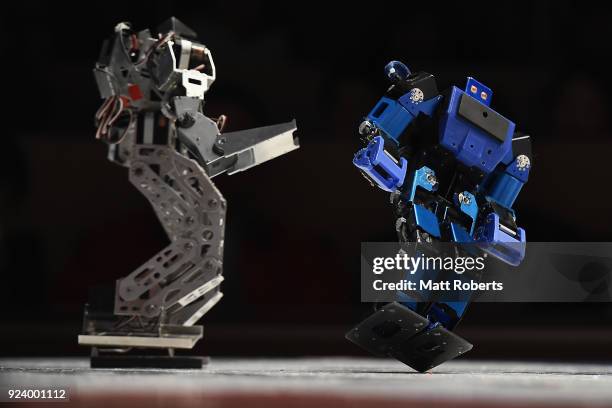 Robots fight during the 32nd ROBO-ONE tournament on February 25, 2018 in Tokyo, Japan. According to the organizer, the ROBO-ONE, held by the Biped...