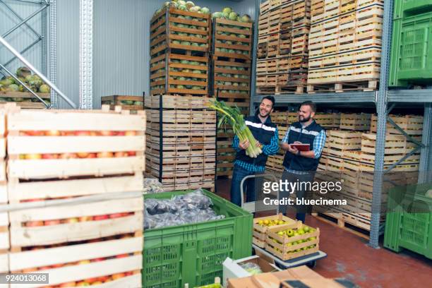 vegetales frescos en el almacén - pallet industrial equipment fotografías e imágenes de stock