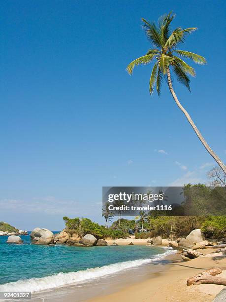 tayrona national natural park, colombia - colombia beach stock pictures, royalty-free photos & images