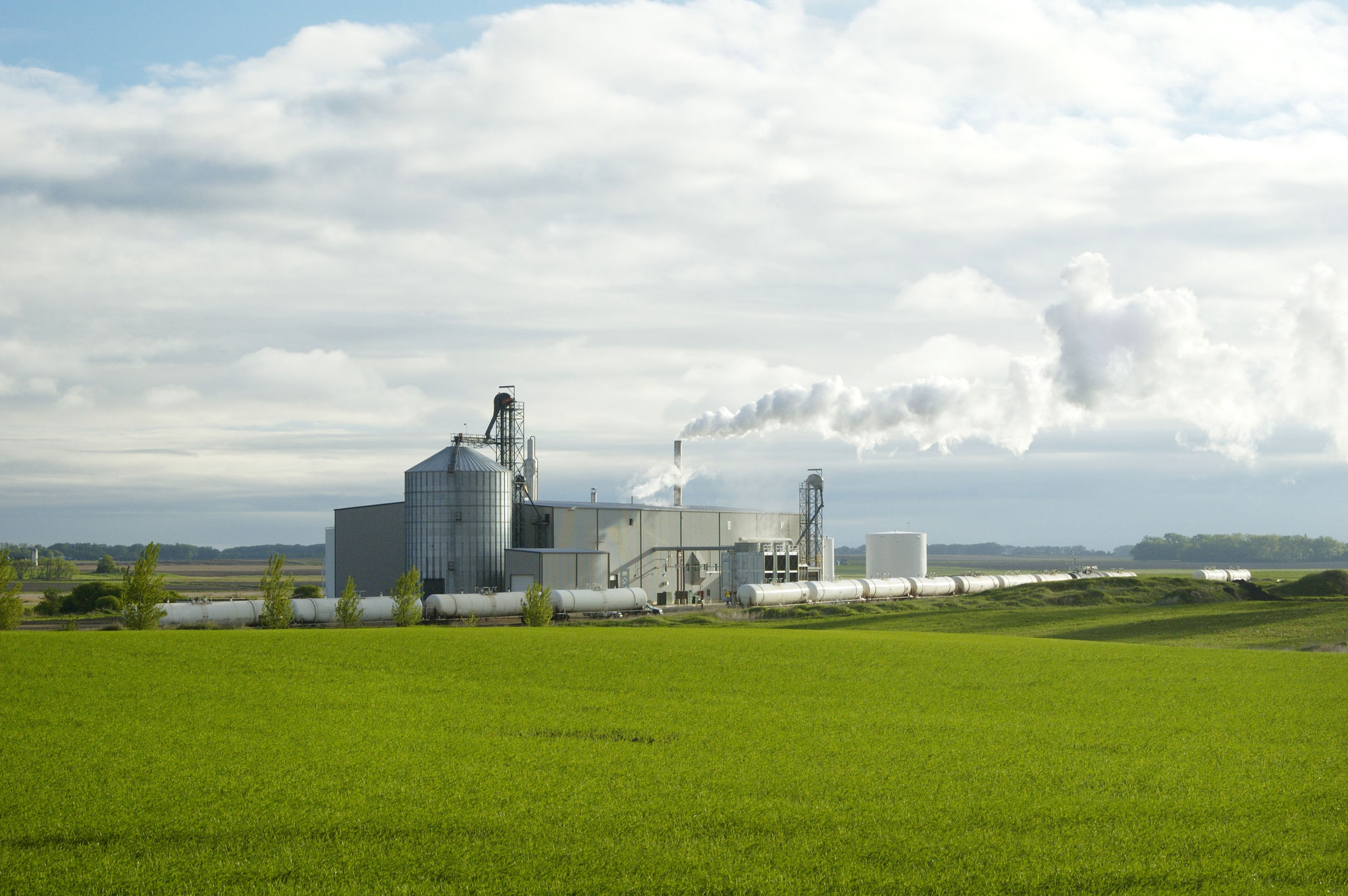 biodiesel production