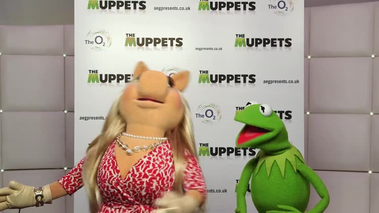 Muppet Interviewer 35 Kermit The Frog And Miss Piggy Stock Videos, Footage, & 4K Video ...
