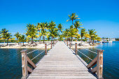 Dock, Sand, Sea and Palm Trees