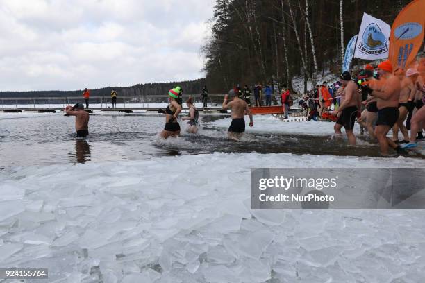 Over 100 so-called walruses take part in the winter swimming in the Garczyn lake near the village Garczyn, in Kashubia region, Poland on 25 February...