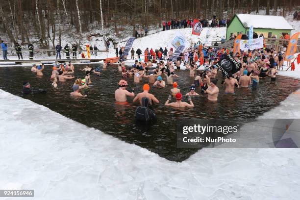 Over 100 so-called walruses take part in the winter swimming in the Garczyn lake near the village Garczyn, in Kashubia region, Poland on 25 February...