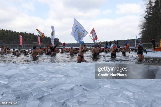 Over 100 so-called walruses take part in the winter swimming in the Garczyn lake near the village Garczyn, in Kashubia region, Poland on 25 February...